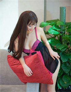《再生缘叶璇版-反抗军》